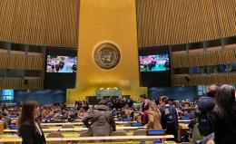 L'Onu premia il liceo Paleocapa e i suoi studenti