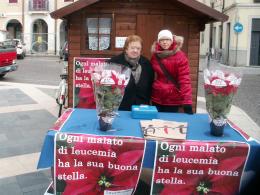 Una stella di Natale per la ricerca
