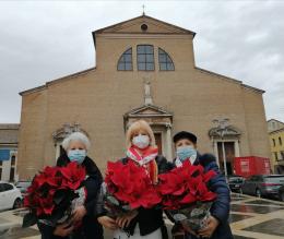 Stelle di Natale per la ricerca contro le leucemie