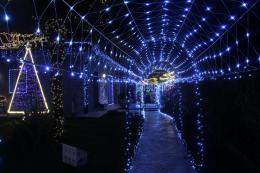 Casa delle luci di Natale: un’idea che scalda il cuore 