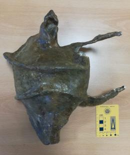 La più grande conchiglia fossile è stata ritrovata recentemente in Veneto