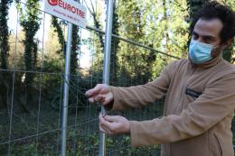 Blitz vandalico all'ex manicomio, liberati nella notte gli animali