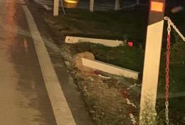I vandali colpiscono ancora al parco dell'ex ospedale psichiatrico di Granzette