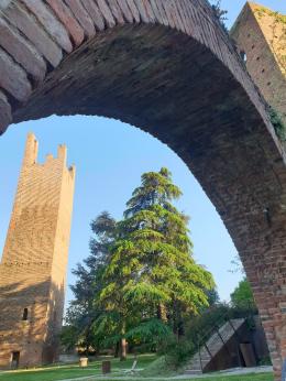 Rovigo: ai primi posti per pessima qualità dell’aria