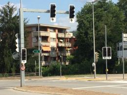 Semafori fuori uso per colpa dei topi 
