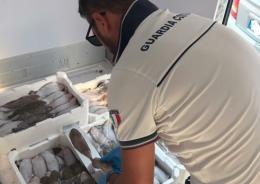 4.500 euro di multa e due quintali di pesce sequestrati