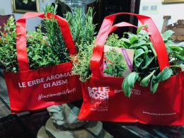 Piante aromatiche su prenotazione a sostegno di Aism