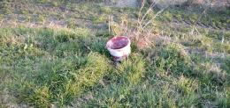 "Via Calatafimi, chiusa formalmente ma discarica di rifiuti"