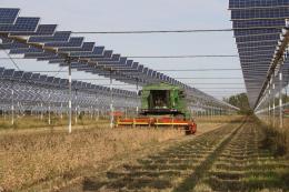 Contributo per l’agrivoltaico