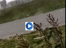 E all'improvviso... nevica sul Polesine