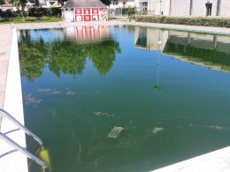 Rane e degrado in piscina: "Almeno due mesi prima di riaprire"