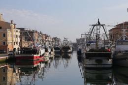 Il distretto Nord Adriatico scrive al ministero: "Misure urgenti"