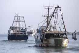 Oggi si decide se tornare in mare