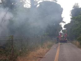 Incendio all'alba nella pineta di Cao Marina