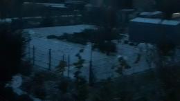 Arriva la neve (tonda) sul Delta
