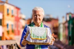 Una rete per salvare le "merlettaie"