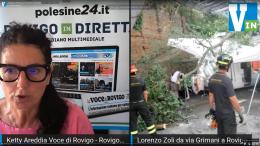 Grosso ramo cade sul mercato, rischio per il pubblico