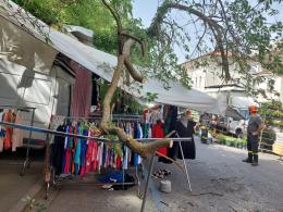 Dall'albero cade un grosso ramo in mezzo al mercato