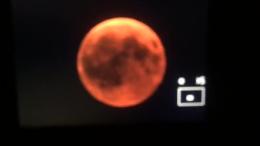 L'eclissi di luna, che spettacolo!