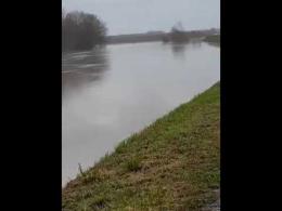 Il fiume Po sempre più alto: il video