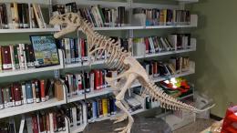 La biblioteca aperta tutti i venerdì sera di agosto 