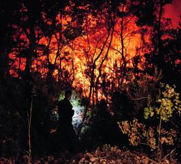 Incendi, qui il rischio è basso