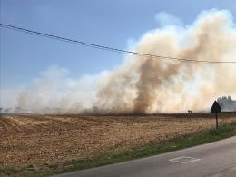 Fiamme in un campo di mais, fermate dai pompieri prima che arrivassero alle case