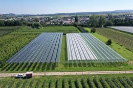 Arriva il primo impianto “agrivoltaico” in Italia