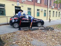 In bici ruba le grondaie del cimitero e di una casa