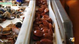 L'Op I Fasolari ospiti oggi a La7 con Maria Grazia Cucinotta