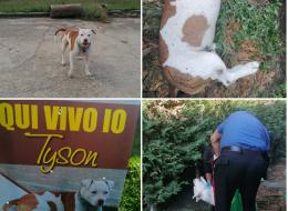 Pazzesco! Cacciatore spara e uccide un cagnolone e minaccia la proprietaria con il fucile