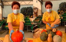 Zucca Day: domani le zucche protagoniste del mercato coperto 