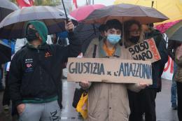 "Forse lo premiano per la distruzione della Foresta Amazzonica"...