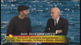 Pescatori contro Striscia la notizia: ‘Li aspettiamo a Chioggia per fargli vedere cos’è la pesca sostenibile’ 