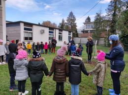 Un ciliegio giapponese per la festa degli alberi alla Scuola dell'Infanzia Sant'Antonio