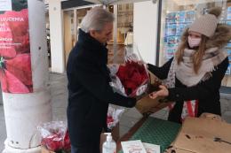In piazza tornano le stelle di Natale