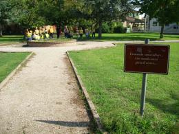 "Con i laboratori scopriamo le nostre attitudini" 