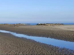 "Bocche a mare insabbiate e chiuse, serve aiuto" 