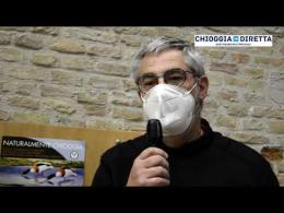 Avifauna europea e lo "scalo" in laguna veneta