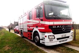 La padrona muore, 13 cani chiusi in casa per giorni