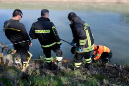 Allarme e mobilitazione generale lungo l'Adigetto