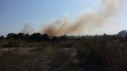 Ancora un incendio a Isola Verde