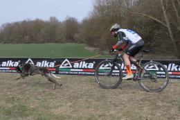 Canicross, cane e padrone insieme da campioni