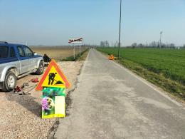 Piantati 15mila fiori per salvare le api