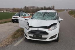 Falciato e ucciso sull'argine