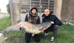 Pesca grossa, ma grossa davvero, in Adigetto