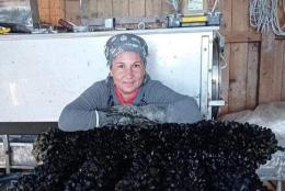 “Con la siccità non crescono le cozze”