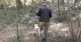 A caccia di tartufi con il quattro zampe Athos