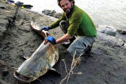 Catturato il "mostro" del canale