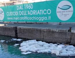 Le cassette deturpano il canale, subito rimosse